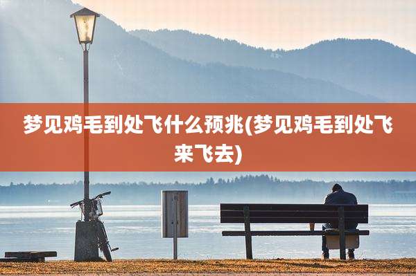 梦见鸡毛到处飞什么预兆(梦见鸡毛到处飞来飞去)