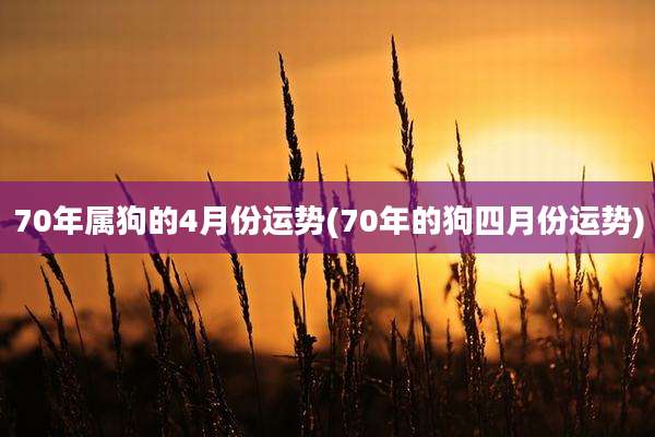 70年属狗的4月份运势(70年的狗四月份运势)