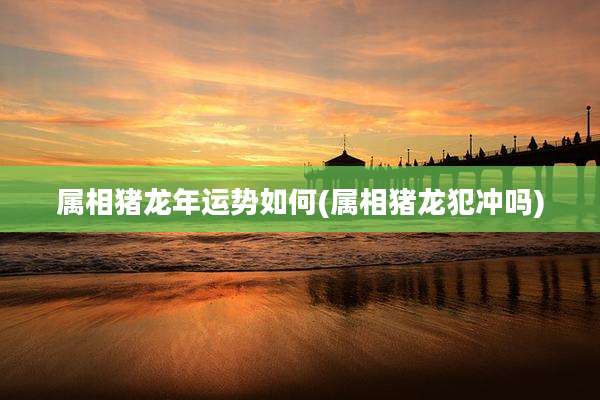 属相猪龙年运势如何(属相猪龙犯冲吗)