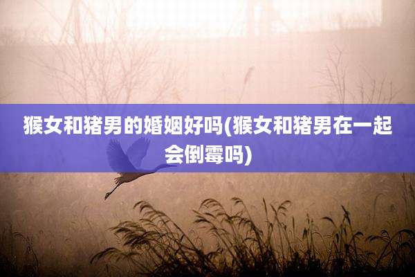 猴女和猪男的婚姻好吗(猴女和猪男在一起会倒霉吗)