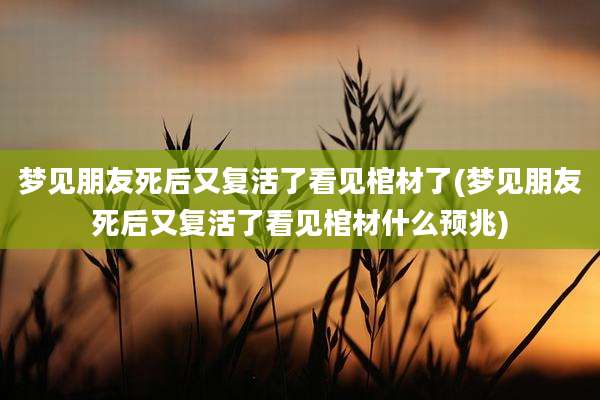 梦见朋友死后又复活了看见棺材了(梦见朋友死后又复活了看见棺材什么预兆)