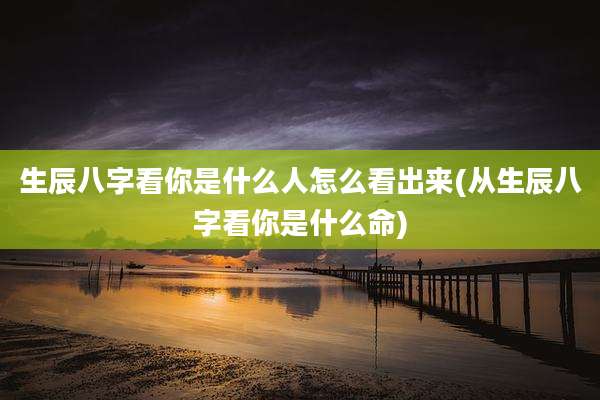 生辰八字看你是什么人怎么看出来(从生辰八字看你是什么命)