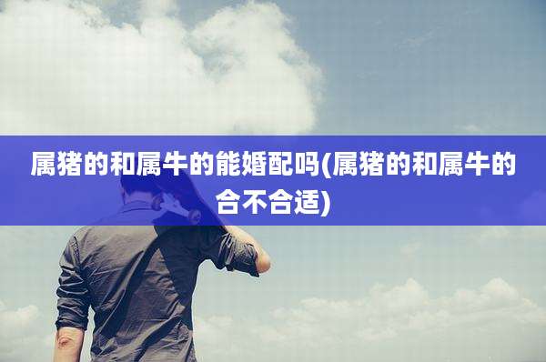 属猪的和属牛的能婚配吗(属猪的和属牛的合不合适)