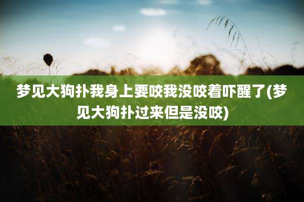 梦见大狗扑我身上要咬我没咬着吓醒了(梦见大狗扑过来但是没咬)