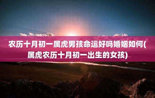 农历十月初一属虎男孩命运好吗婚姻如何(属虎农历十月初一出生的女孩)
