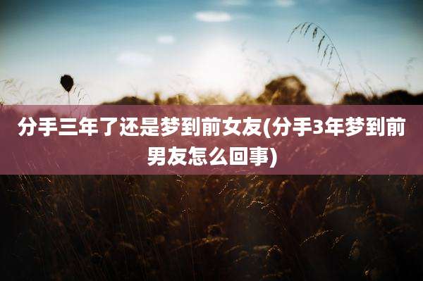 分手三年了还是梦到前女友(分手3年梦到前男友怎么回事)