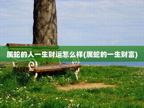属蛇的人一生财运怎么样(属蛇的一生财富)