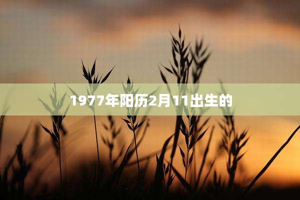 1977年阳历2月11出生的