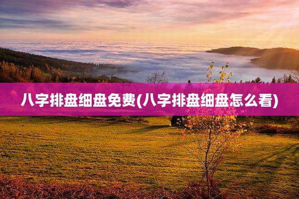 八字排盘细盘免费(八字排盘细盘怎么看)