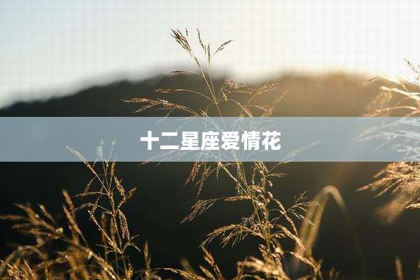 十二星座爱情花