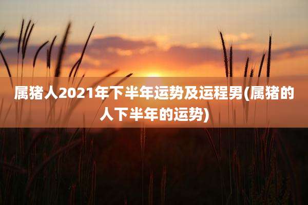 属猪人2021年下半年运势及运程男(属猪的人下半年的运势)