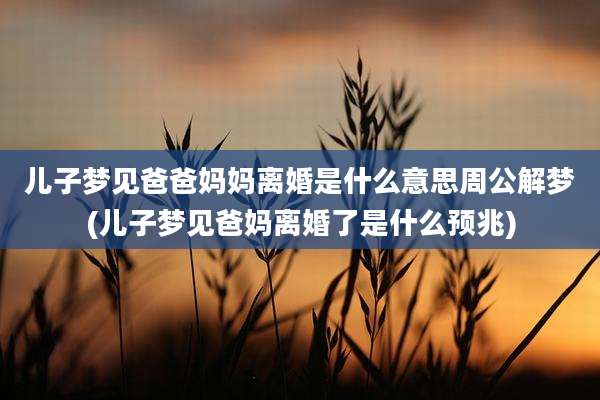 儿子梦见爸爸妈妈离婚是什么意思周公解梦(儿子梦见爸妈离婚了是什么预兆)