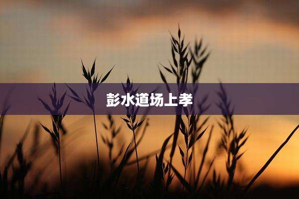 彭水道场上孝