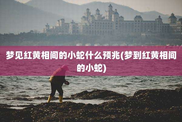 梦见红黄相间的小蛇什么预兆(梦到红黄相间的小蛇)