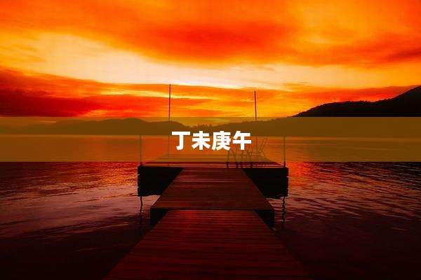 丁未庚午