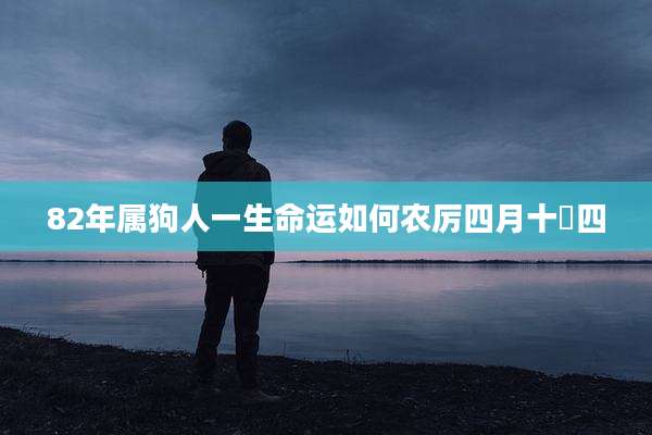 82年属狗人一生命运如何农厉四月十乛四