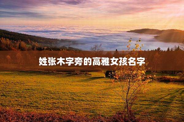 姓张木字旁的高雅女孩名字