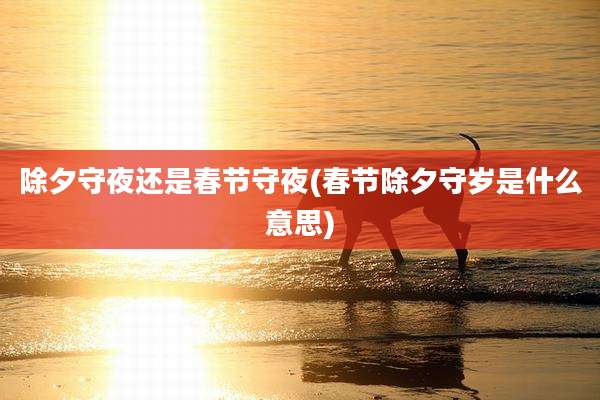 除夕守夜还是春节守夜(春节除夕守岁是什么意思)