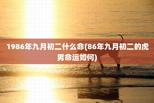 1986年九月初二什么命(86年九月初二的虎男命运如何)