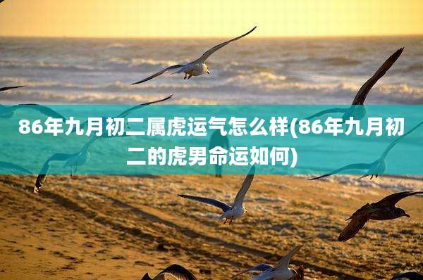 86年九月初二属虎运气怎么样(86年九月初二的虎男命运如何)