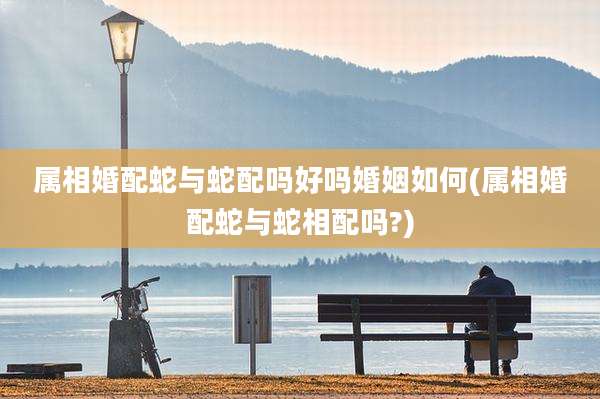 属相婚配蛇与蛇配吗好吗婚姻如何(属相婚配蛇与蛇相配吗?)