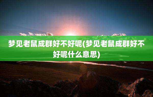梦见老鼠成群好不好呢(梦见老鼠成群好不好呢什么意思)