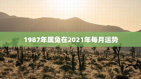 1987年属兔在2021年每月运势