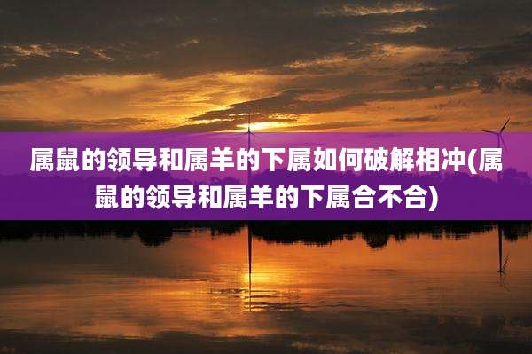 属鼠的领导和属羊的下属如何破解相冲(属鼠的领导和属羊的下属合不合)