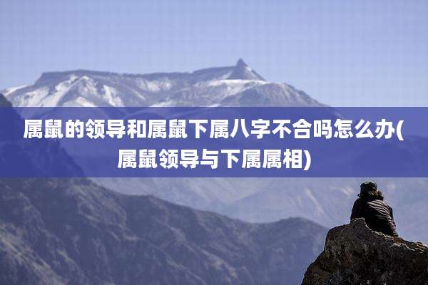属鼠的领导和属鼠下属八字不合吗怎么办(属鼠领导与下属属相)
