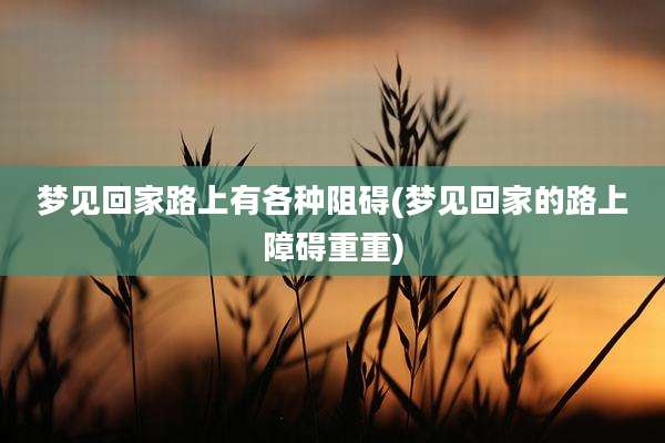 梦见回家路上有各种阻碍(梦见回家的路上障碍重重)