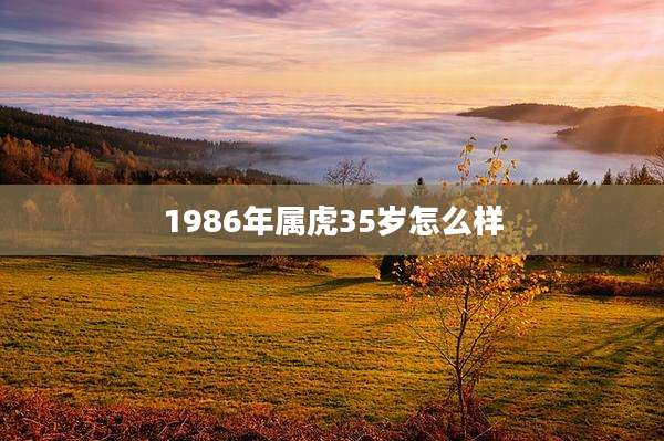 1986年属虎35岁怎么样
