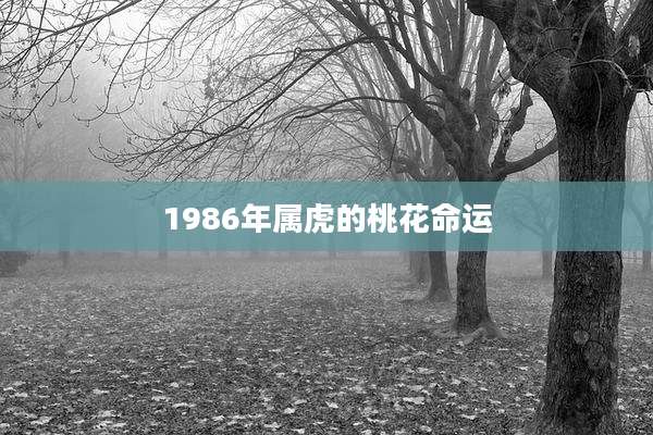 1986年属虎的桃花命运