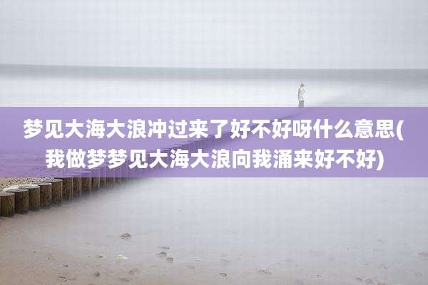 梦见大海大浪冲过来了好不好呀什么意思(我做梦梦见大海大浪向我涌来好不好)