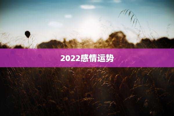 2022感情运势