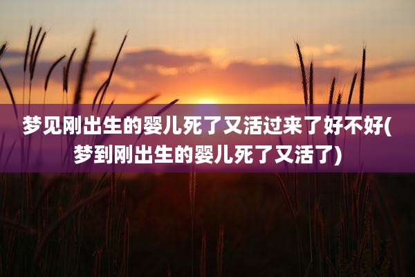梦见刚出生的婴儿死了又活过来了好不好(梦到刚出生的婴儿死了又活了)