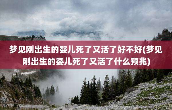 梦见刚出生的婴儿死了又活了好不好(梦见刚出生的婴儿死了又活了什么预兆)