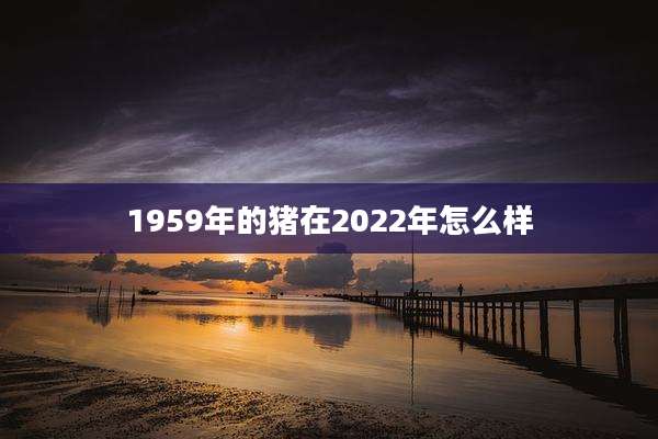 1959年的猪在2022年怎么样