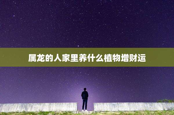 属龙的人家里养什么植物增财运