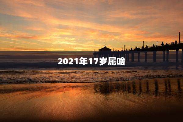 2021年17岁属啥