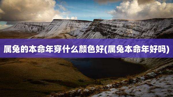 属兔的本命年穿什么颜色好(属兔本命年好吗)