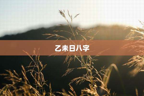 乙未日八字