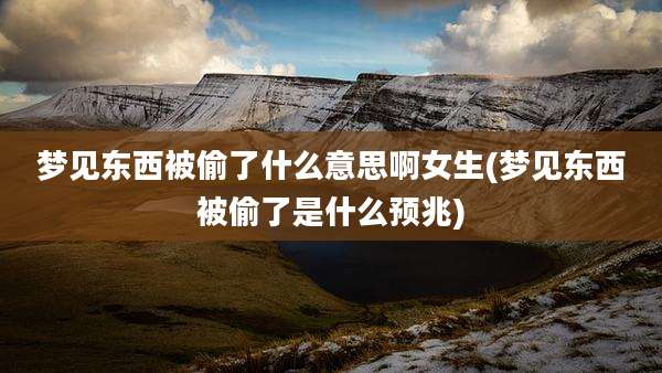 梦见东西被偷了什么意思啊女生(梦见东西被偷了是什么预兆)