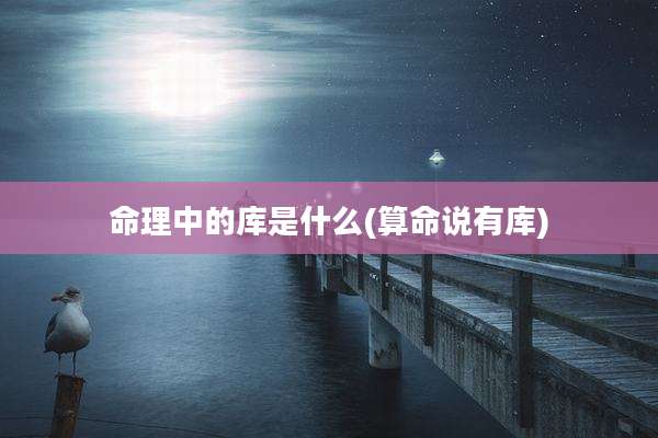 命理中的库是什么(算命说有库)