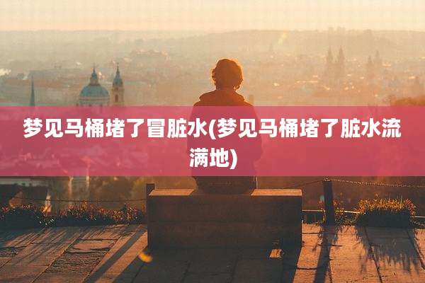 梦见马桶堵了冒脏水(梦见马桶堵了脏水流满地)
