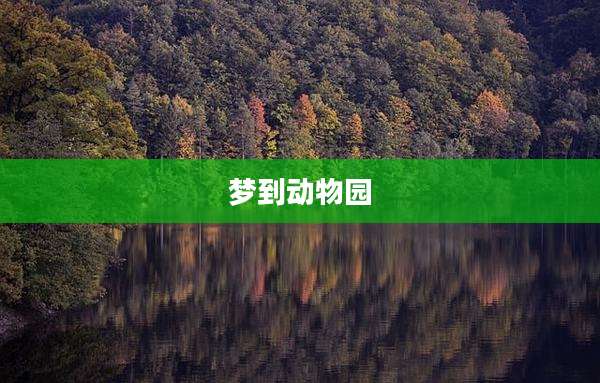梦到动物园