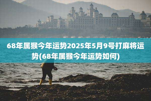 68年属猴今年运势2025年5月9号打麻将运势(68年属猴今年运势如何)