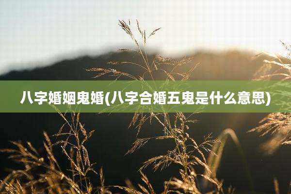 八字婚姻鬼婚(八字合婚五鬼是什么意思)
