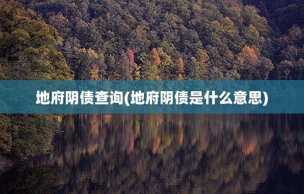 地府阴债查询(地府阴债是什么意思)