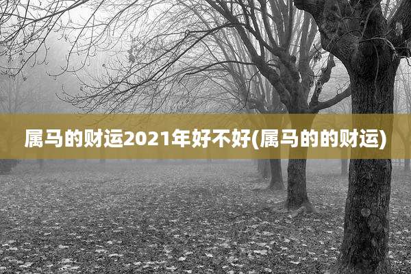 属马的财运2021年好不好(属马的的财运)