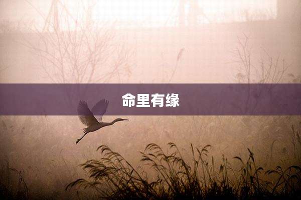 命里有缘